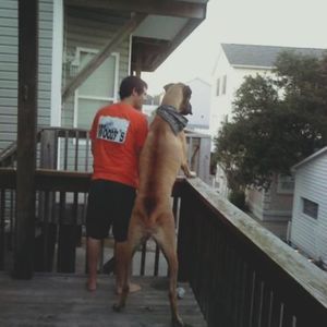 Meet your Posher, Eddy